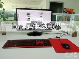 bug是什么意思？揭秘“Bug”软件世界的瑕疵