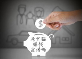 悬赏猫赚钱靠谱吗？肯定靠谱，挣点收入真不难