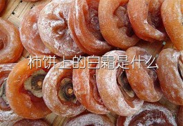 柿饼上的白霜是什么能吃吗？说说柿饼的功效与作用