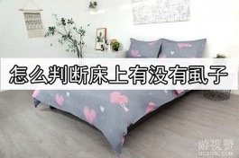 如何判断床上是否有虱子？需要仔细观察和认真检查