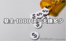 基金1000块一天赚多少（分享我基金理财心得）