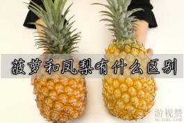 菠萝和凤梨有什么区别？菠萝叶扎手凤梨叶光滑