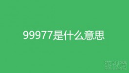 99977是什么意思（珍惜眼前人）