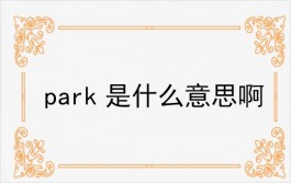 park是什么意思啊（park是公园还是停车场）