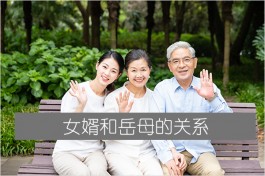 女婿和岳母的关系（姑婿关系）