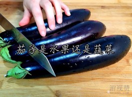 茄子是水果还是蔬菜（烧茄子蒜茄子更好吃）