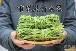 贡菜是什么菜？贡菜是一种绿叶类蔬菜