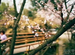 温暖治愈人心的散文：温柔的光芒