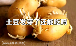 土豆发芽了还能吃吗（这几种情况最好别吃）