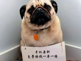 手机兼职免费赚钱一单一结（一天稳定收入200左右）