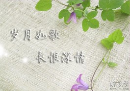 文笔超惊艳的高质量散文：岁月如歌，长恨深情