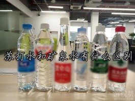 苏打水和矿泉水有什么区别（听听我对它俩的看法吧）