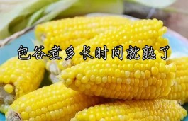 包谷煮多长时间就熟了（包谷一般煮15-25分钟左右）