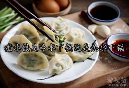 煮水饺是冷水下锅还是热水下锅（当然是开水下锅了）