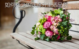 如何花少的钱提升生活品质