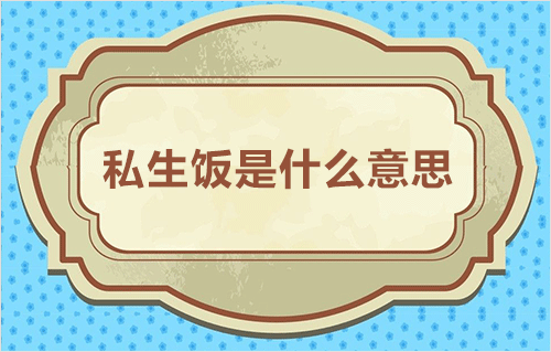私生饭是什么意思