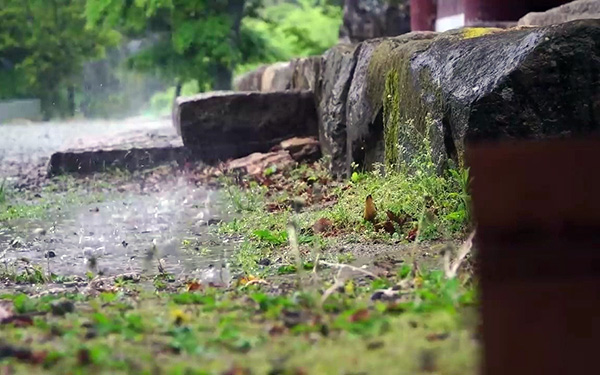 任那”心雨“默默地品味人生的酸甜苦辣