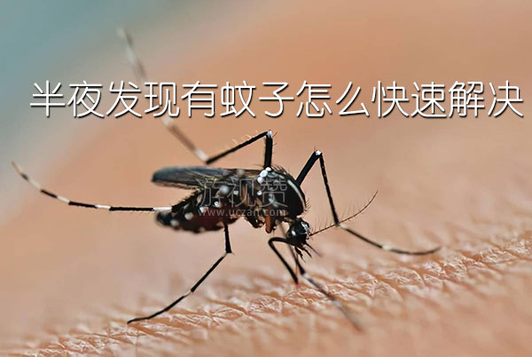 半夜发现有蚊子怎么快速解决