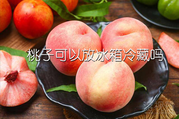 桃子可以放冰箱冷藏吗