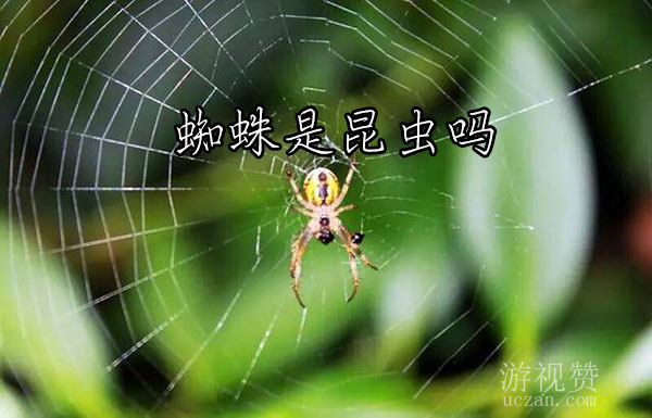 ֩(֩ڽ֫еθ)