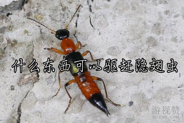 什么东西可以驱赶隐翅虫