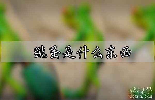 跳蚤是什么东西