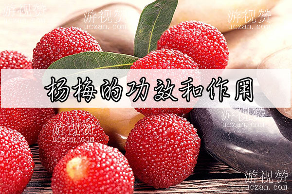 杨梅的功效和作用