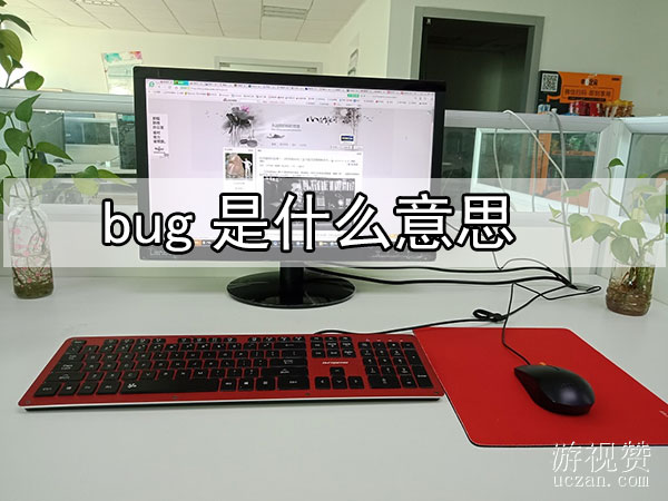 bug是什么意思