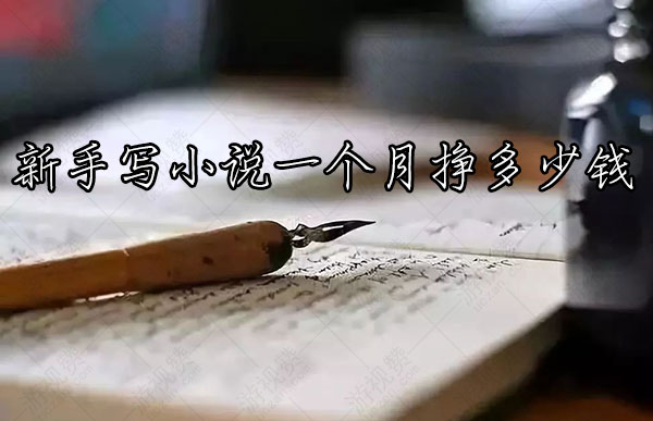 新手写小说一个月挣多少钱